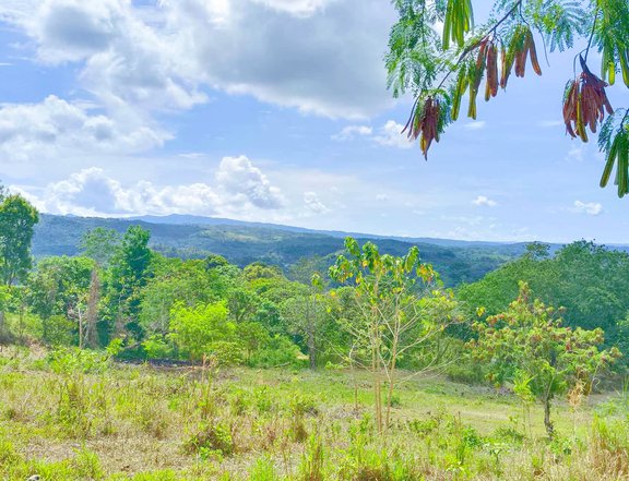 INSTALLMENT TITLED LOT IN TANAY RIZAL, ZERO INTEREST, FREE TRANSFER OF TITLE, INTRODUCTORY PRICE