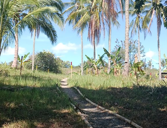 Titled Residential Lot for SaLE in Pililla Rizal