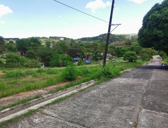 Residential Vacant Lot @ Palos Verdes Exec Village, Antipolo City