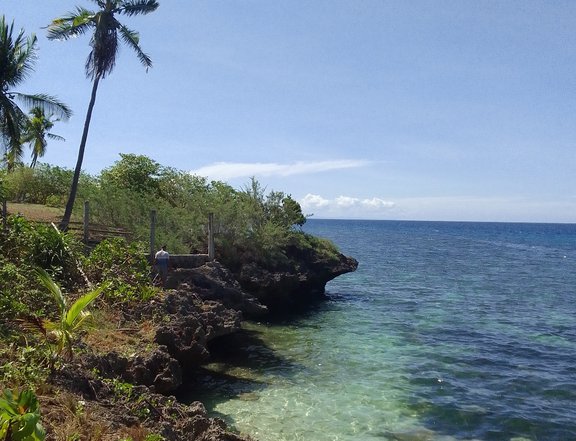 Beach cliff located at san francisco camotes island cebu 3,000 sq mtr.