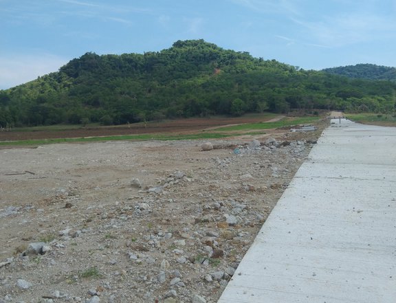 FARMLOT ALONG BRGY ROAD CEMENTED ROAD HANGGANG LOOB NG FARM ALL IN  NA SA PRICE