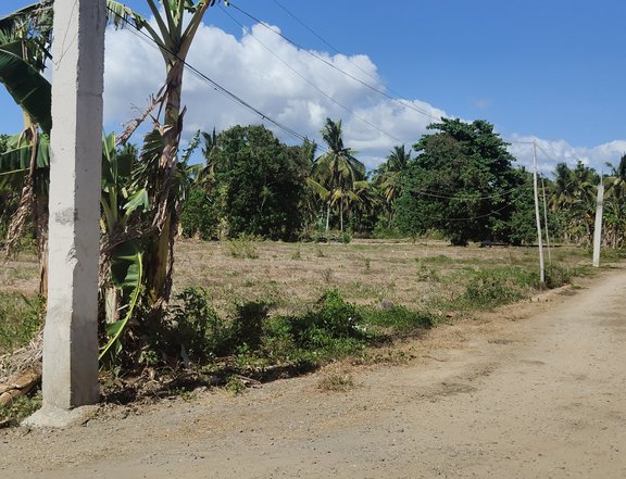 1000 sqm Residential Farm Lot FOR SALE in Candelaria Quezon