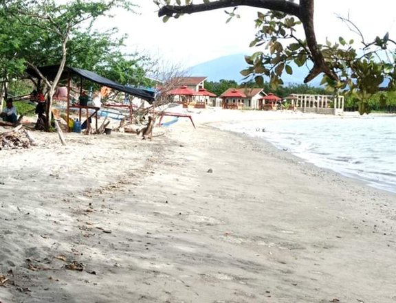 250 sqm Beach Property For Sale in Lupon Davao Oriental (Price Negotiable)