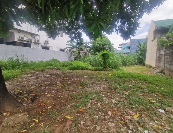 Residential Vacant Lot for Sale @ Vista Verde Country Homes, Munting Dilaw, Antipolo City
