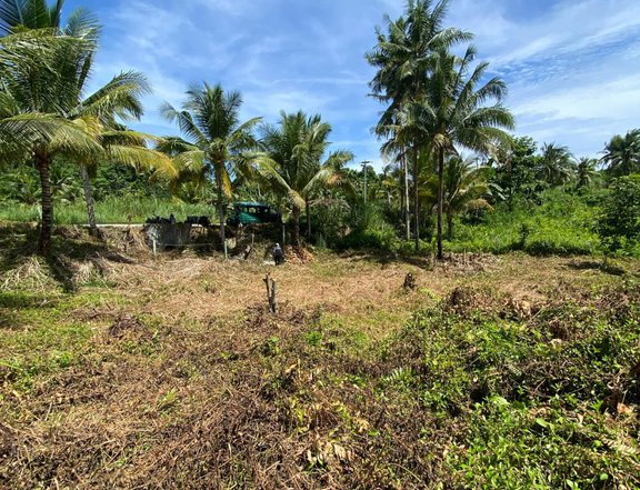 SIARGAO LOT FOR SALE