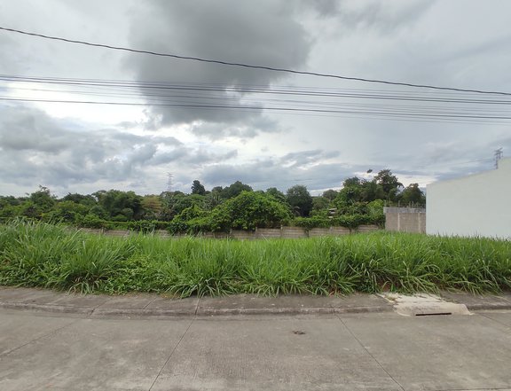 266 sqm Exclusive Residential Lot For Sale in Dasmarinas Cavite