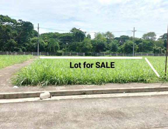 Lot For Sale 223sqm in Morningfields Subd., Carmel Town beside Nuvali & Rockwell South, Calamba Lag.