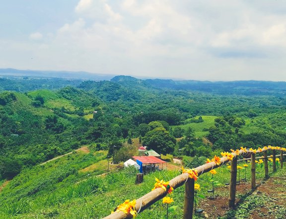 TITLED FARM LOT IN PILILIA RIZAL near LYGER ZOO