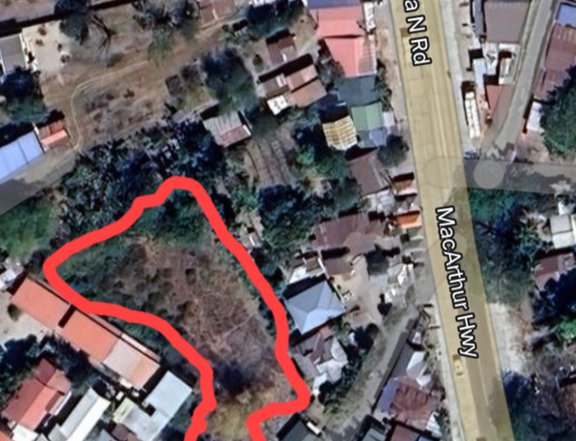 900 sqm Residential Lot for Sale Gerona Tarlac, along the High way