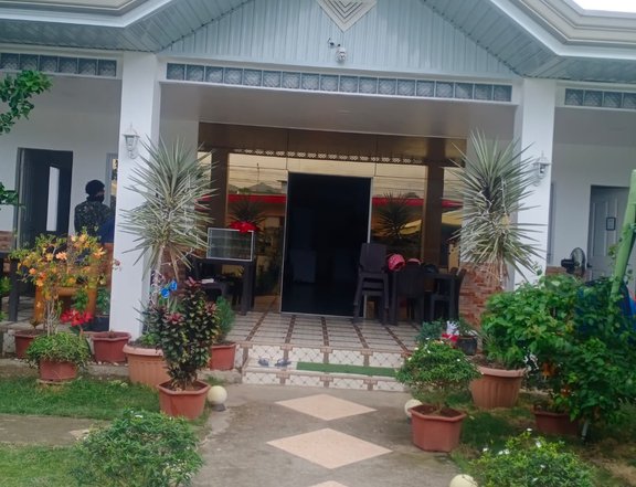 All property hause and Lot