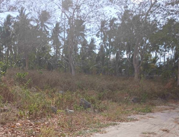 5,125 sqm Agricultural Farm For Sale in Dauin Negros Oriental