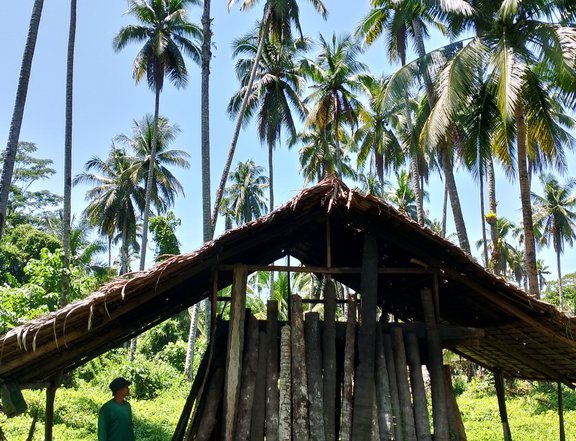 3.5 Hectares Agricultural Farm Lot (Barangay Loyola, Hinatuan Surigao del Sur)