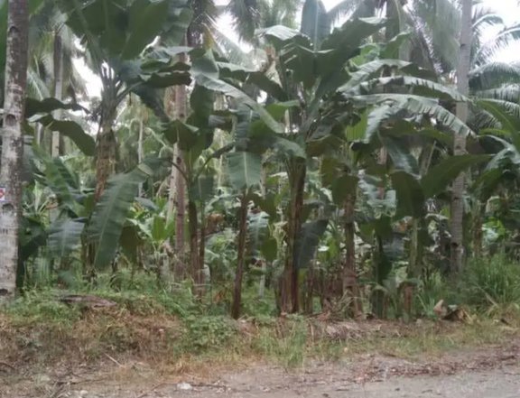 1,000 sqm Residential Farm For Sale in Tagum Davao del Norte