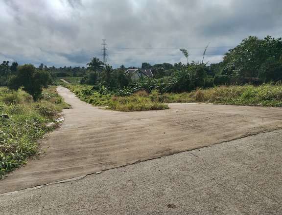 150sqm Residential - Farm Lot in Mendez Cavite