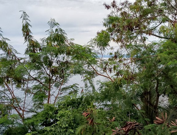 OVERLOOKING BEACH LOT IN BALER