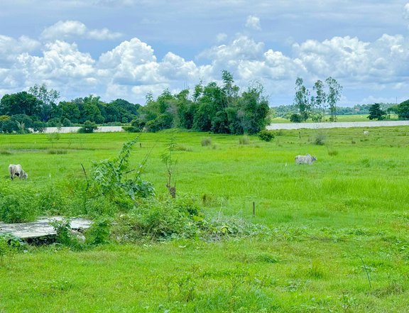 TITLED  Residential Lot For Sale in Alaminos Pangasinan