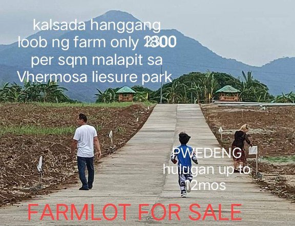 HULUGANG FARMLOT CEMENTED ROAD HANGGANG LOOB NG PROPERTY ALL IN SA PRICE ANG  TRANSFER SA NEW OWNER