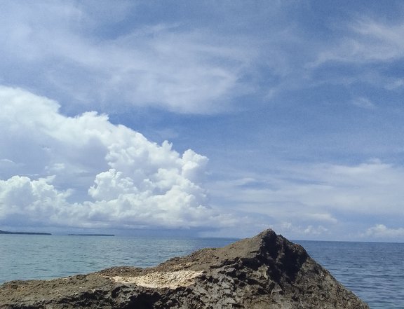 4,000sqm. Beachcliff property for sale in Poro Cebu