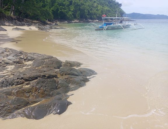 2 hectares Beach Lot Island portion in Albguan Island, San Vicente Palawan