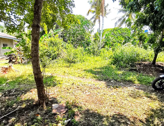 Lot near Dumaluan white beach and commercial areas in Panglao