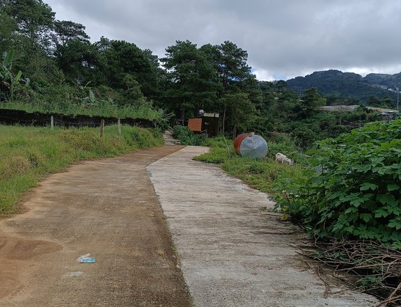 100 sqm Residential Lot For Sale in Baguio Benguet