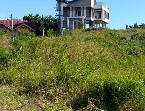 Pelican Cliff overlooking lot for sale in Binangonan Rizal