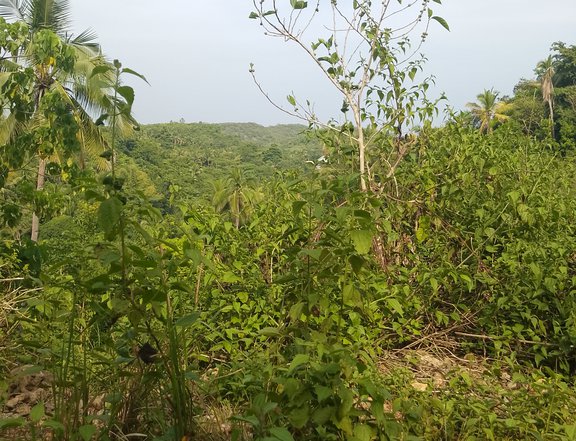 The Cheapest Gamit Dayun Overlooking Lot in Compostela Cebu