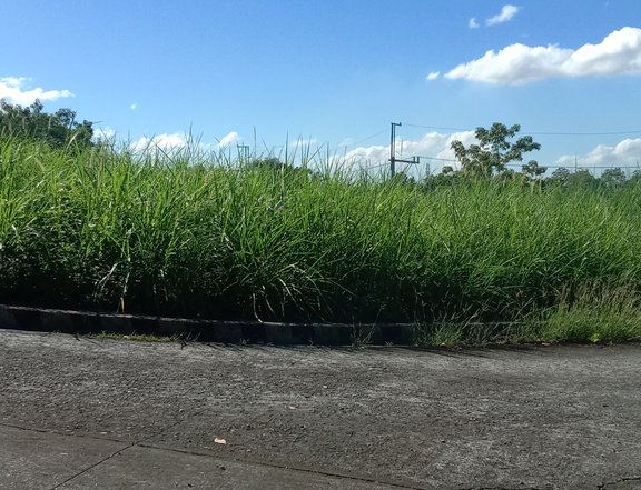 274 sqm Residential Lot For Sale in Colinas Verdes San Jose Del Monte Bulacan