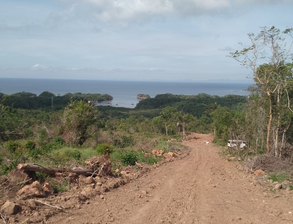 Overlooking Seaview Farm Lot in Nueva Valencia Guimaras (2Yrs to Pay)