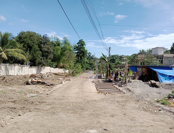 Small subdivision lot with land area of 4200 sqm for sale. Selling price is negotiable.