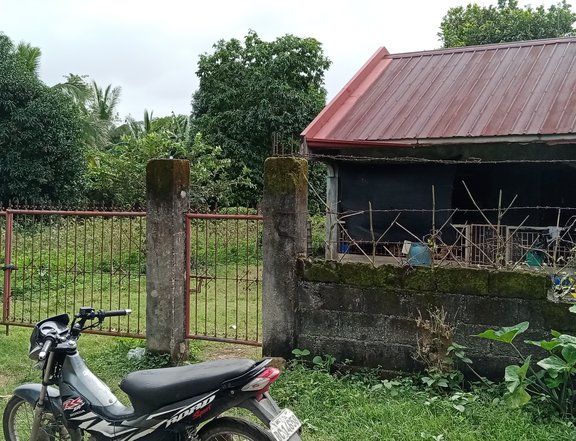 11,000 SQM House and Lot for Sale in Jala-jala, Rizal