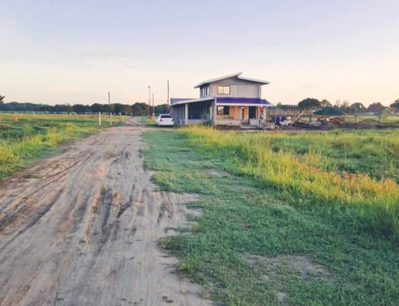 TITLED RESIDENTIAL  FARM LOT IN LUBAO PAMPANGA,FREE TRANSFER OF TITLE