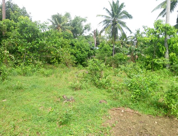 7000sqm.Residential Farm For sale in pinamungajan cebu