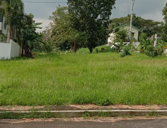 Colinas Verdes 240 Sqm Lot For Sale San Jose Del Monte Bulacan