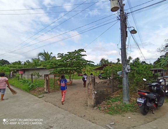 1 hec. lot coconut tree farm in Salao Rosario Batangas