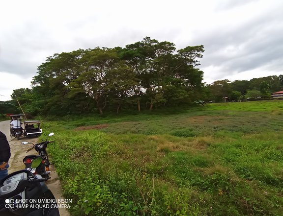 8078sqm lot Property in Salao Rosario Batangas