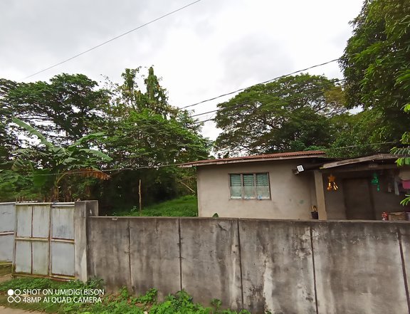 Residential Farm lot in Salao Rosario Batangas