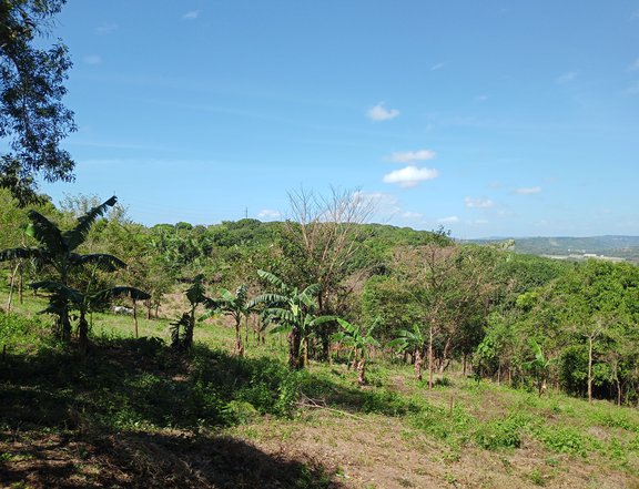 150 sqm Residential Farm For Sale in Tanay Rizal