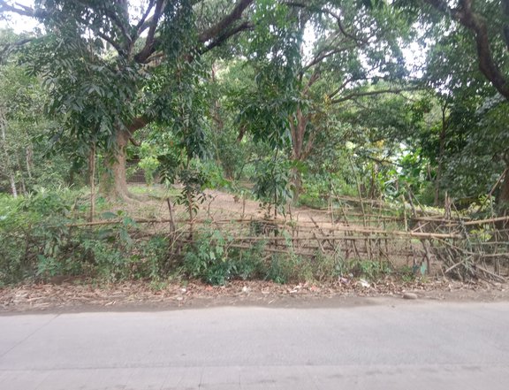 1.8 hectares Raw Land For Sale in Teresa Rizal. direct listing