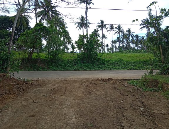 Residential Lot in Silang Cavite near in CALAX and Eastwest Road