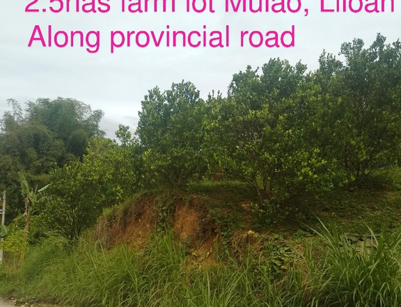 Accessible to North Expressway Farm Lot for Sale Liloan Cebu Along Provincial Road Cheapest Discount