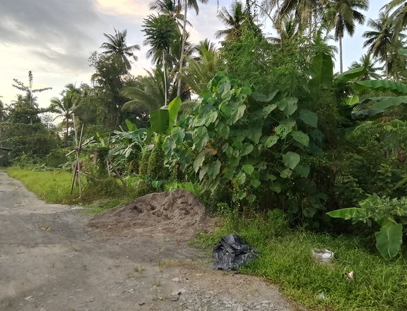 100 sqm Residential Lot For Sale in Tagum Davao Del Norte