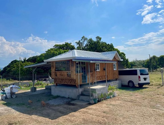 Modern house home made from bamboo or called kubo! For sale! 1000sqm for 2.5M only have 2 rooms!