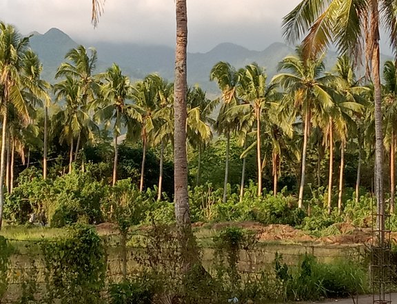 Lipa Land with Mountain Views - 12000sqm Residential Zoned Lot - 120m PHP