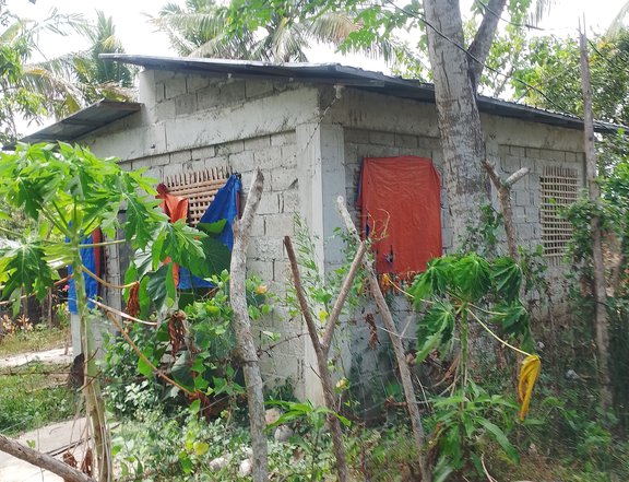 House and lot for sale