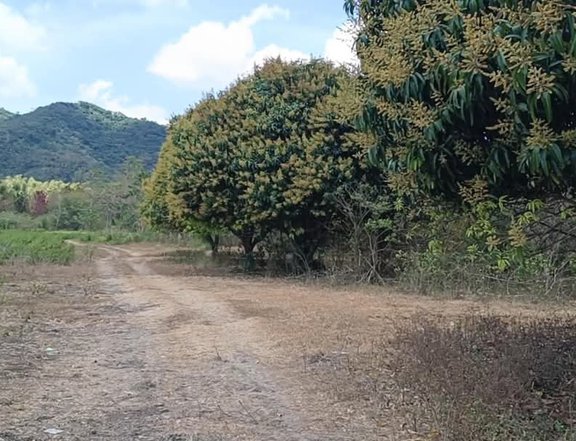 500 sqm Farm Lot For Sale in Rosario Batangas