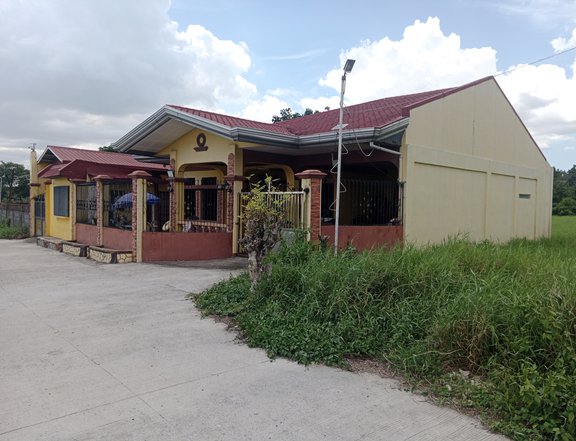 House for sale near Philippine Arena