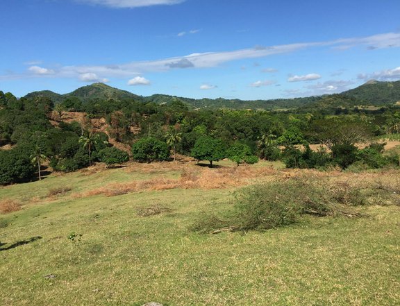 Mango Farm lot in Nasugbo batangas with Mountain View
