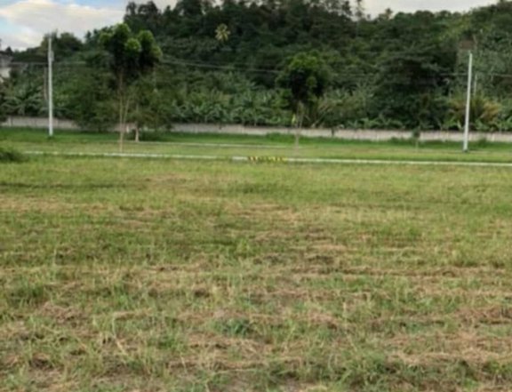 Subdivision lot for sale 300sqm.in Davao city