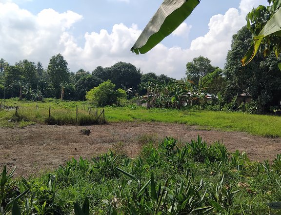 100 sqm Residential Lot For Sale in Mabini Dona Alicia Davao De Oro Compostela Valley